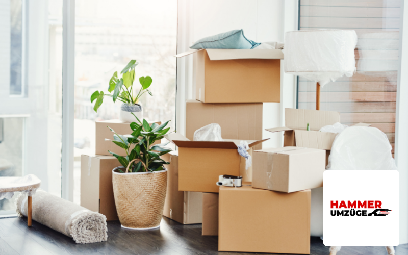 SEO Agentur Luebeck Referenz Umzugsunternehmen